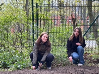 Erste Pflanzaktion im Schulgarten