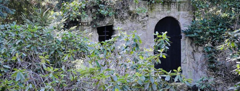 Der Besuch des Südwestkirchhof in Stahnsdorf/ Klasse 10a